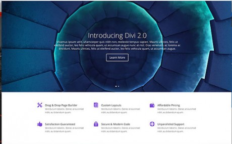 Elegant Themes Divi WordPress Theme + Layouts