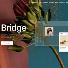 Bridge – Creative Elementor & WooCommerce Theme