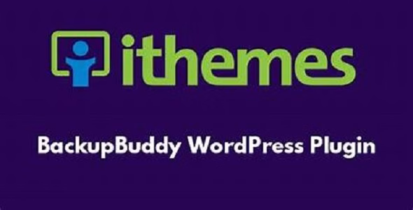 IThemes BackupBuddy WordPress Plugin
