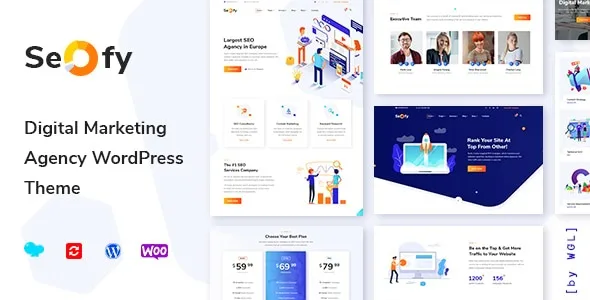 Seofy Digital & Marketing WordPress