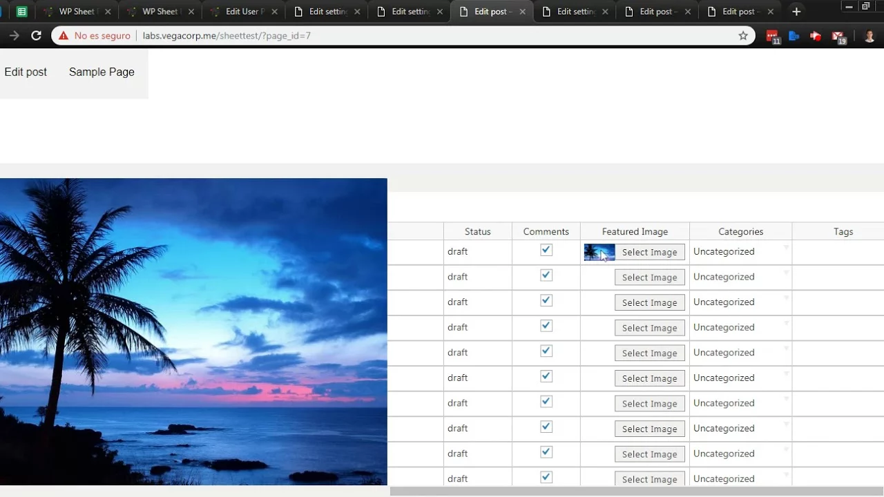 WP Sheet Editor - Editable Frontend Tables